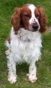 Buster Buster